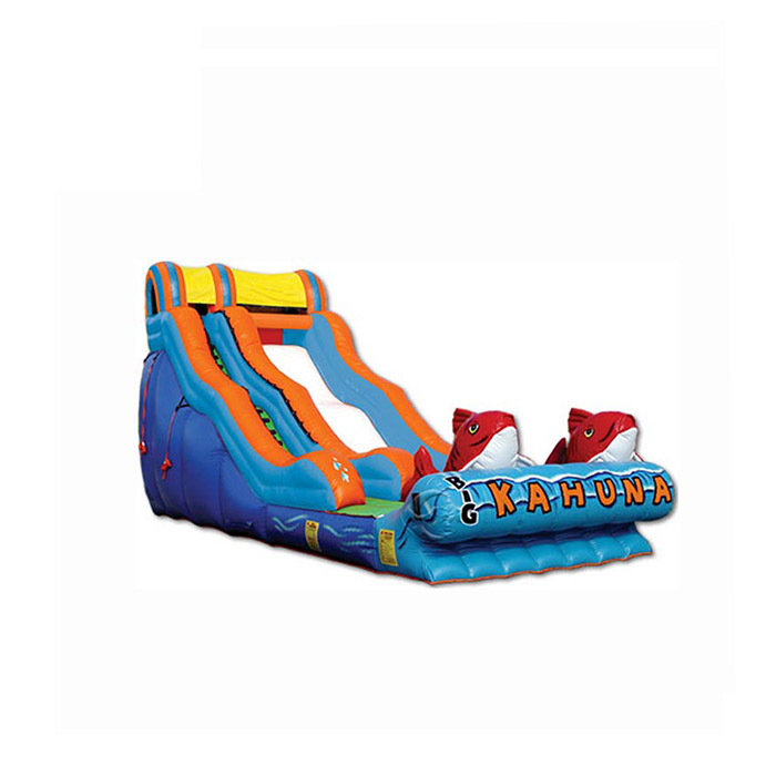 inflatable pool slides for sale