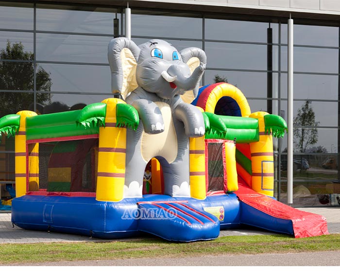 sports bounce house