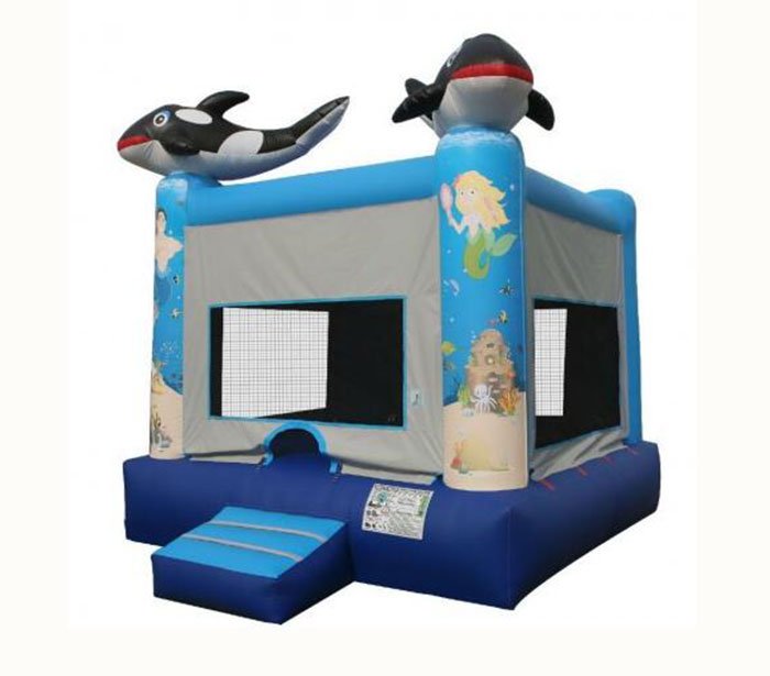 mini inflatable bounce house