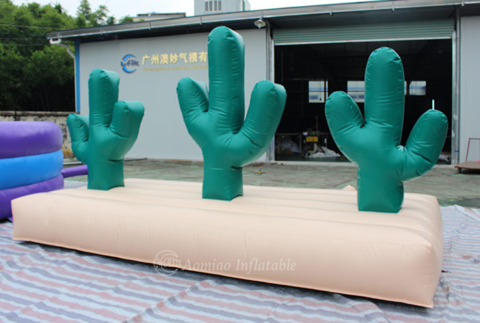 Inflatable Cactus Hoopla