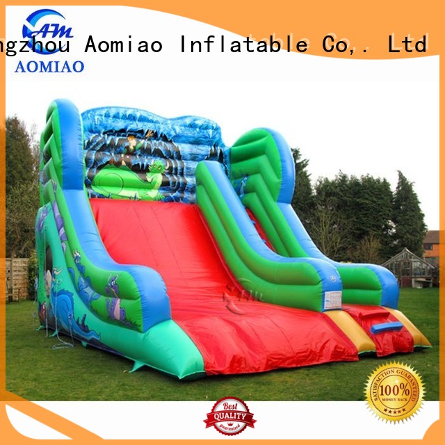 Kids Blow Up Water Slide - SL1749