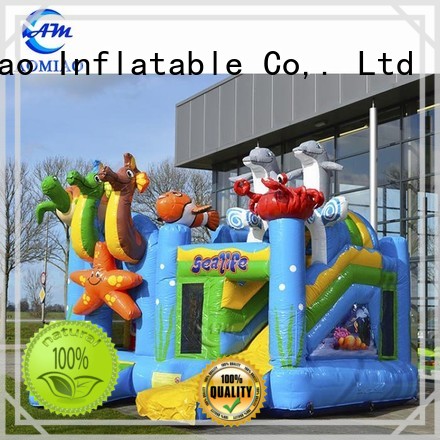 Inflatable Bounce House With Slide - BO1747